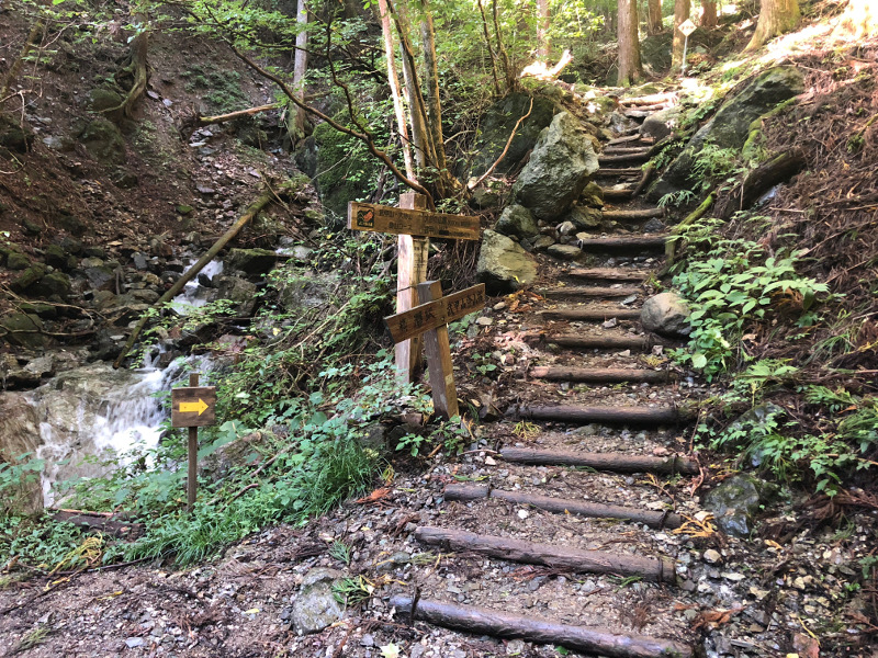登山道