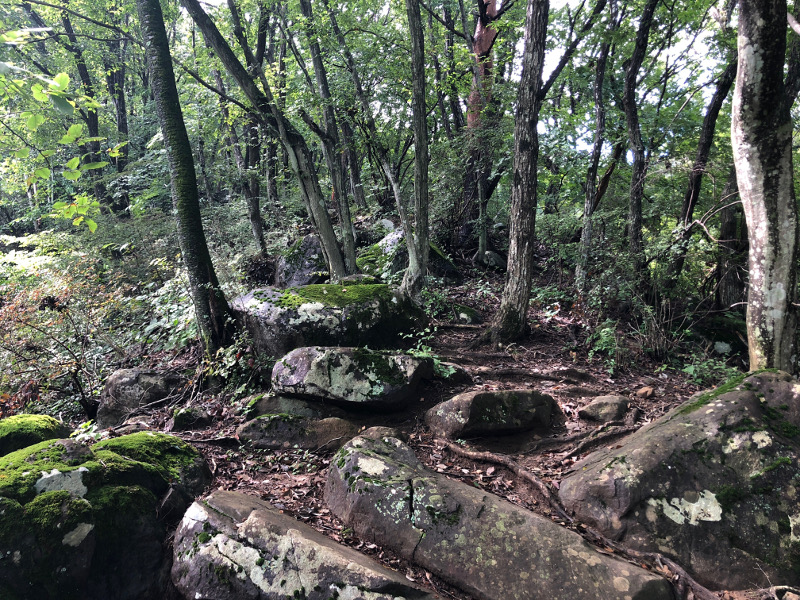 岩場