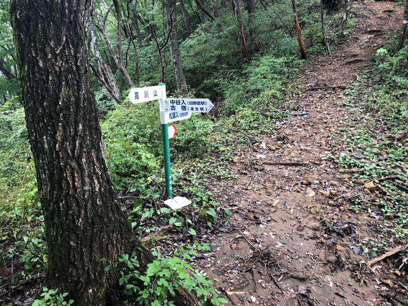 途中分岐